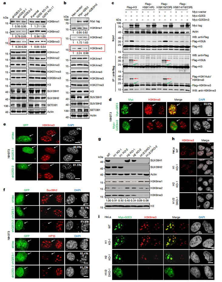 1761190268968738.png 图片3.png