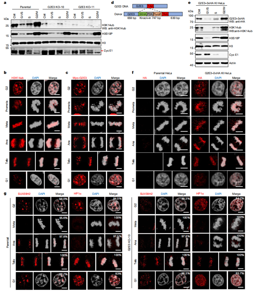 1761190285380648.png 图片4.png