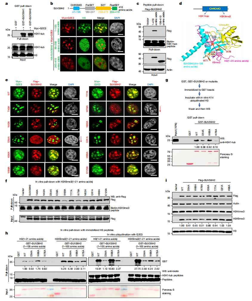 1761190299705709.png 图片5.png