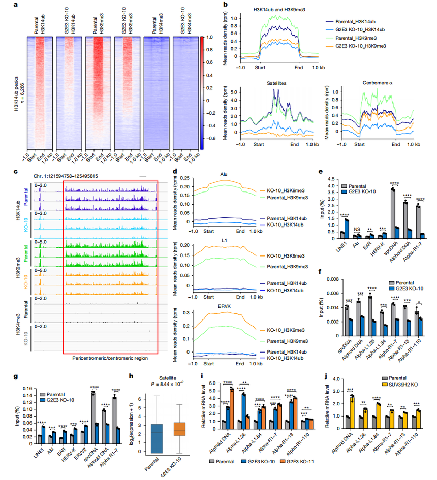 1761190315627735.png 图片6.png