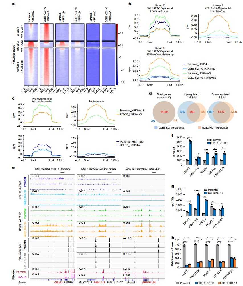 1761190329314649.png 图片7.png