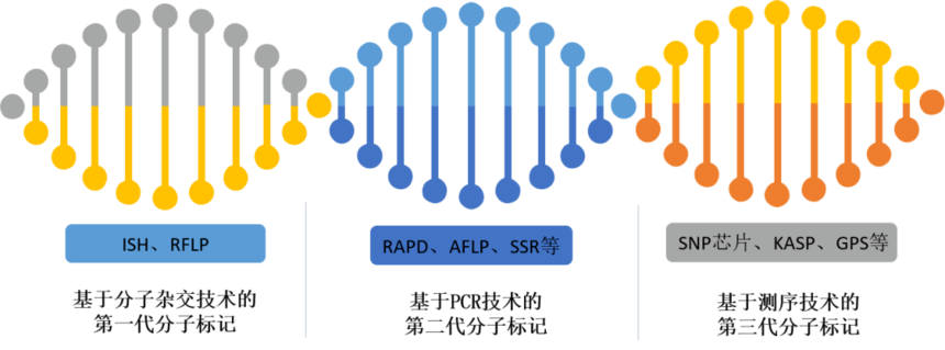 1761191224834850.png 图片1.png