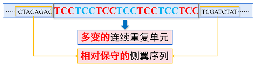 1761191316213085.png 图片2.png