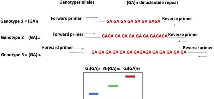 1761191331857380.png 图片3.png