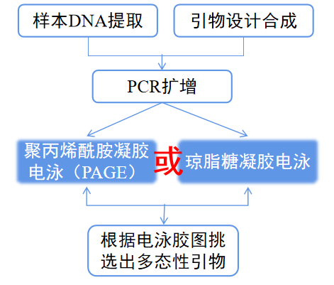 1761191352984910.png 图片5.png