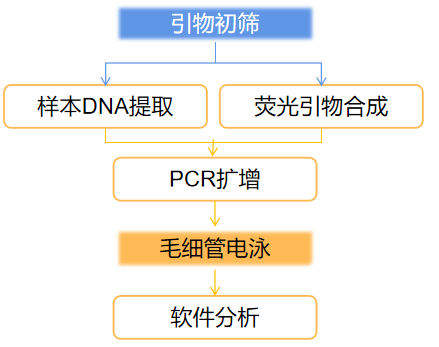 1761191362670412.png 图片6.png