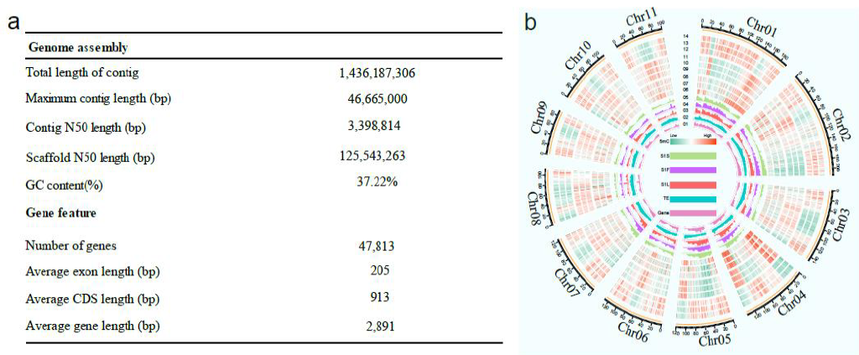 1761296935606384.png 图片1.png