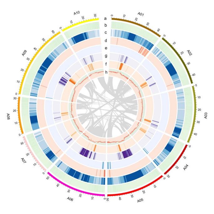 1761296968955993.png 图片3.png