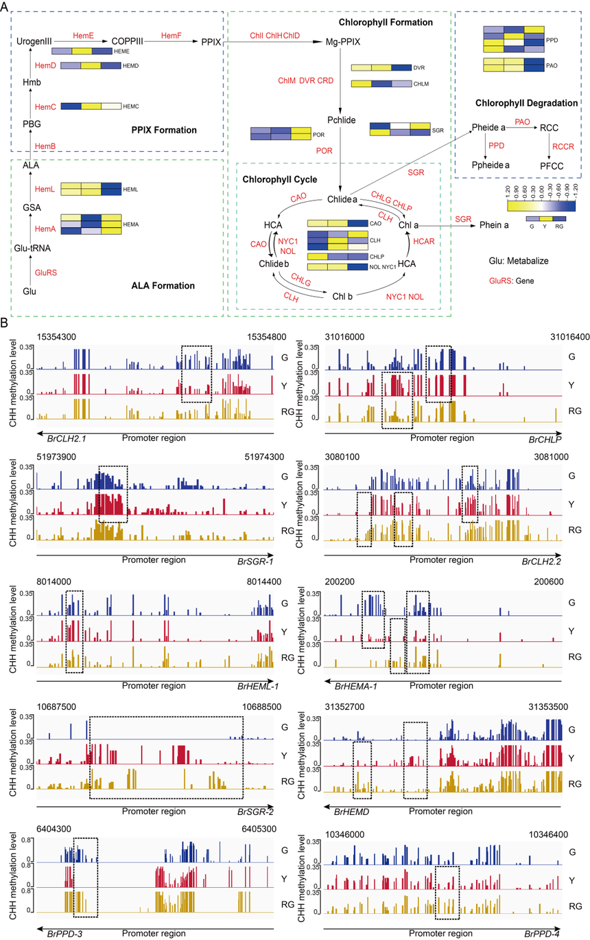 1761296983165317.png 图片4.png