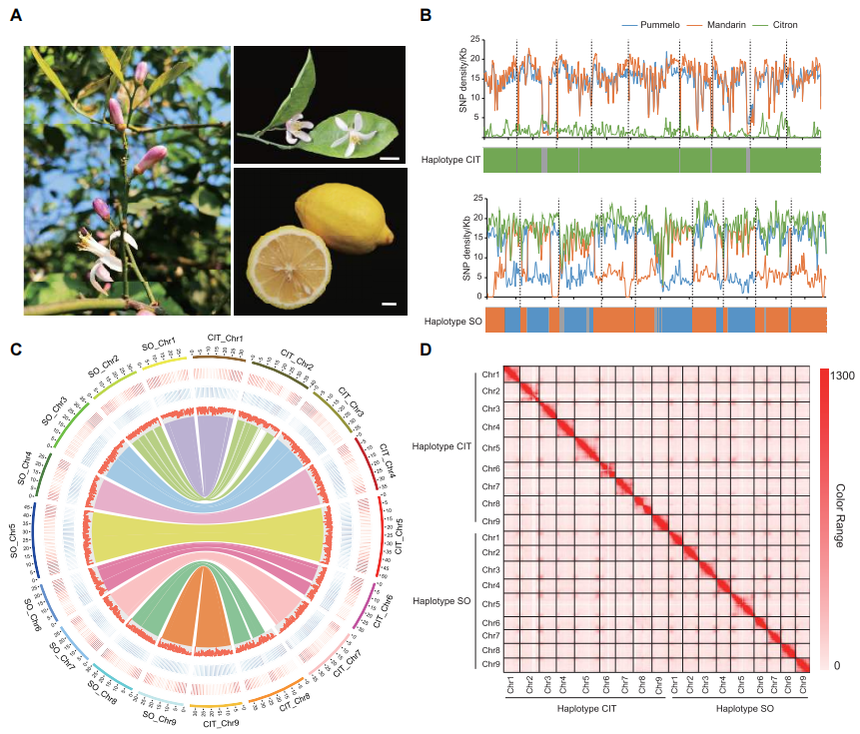 1761296996355895.png 图片5.png