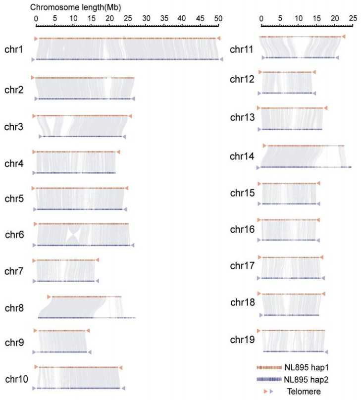 1761297025802557.png 图片7.png