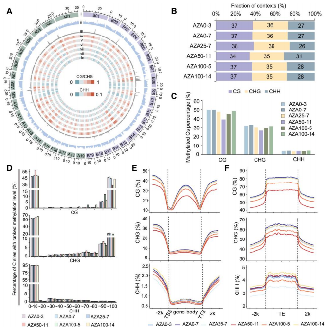 1761297049326354.png 图片8.png