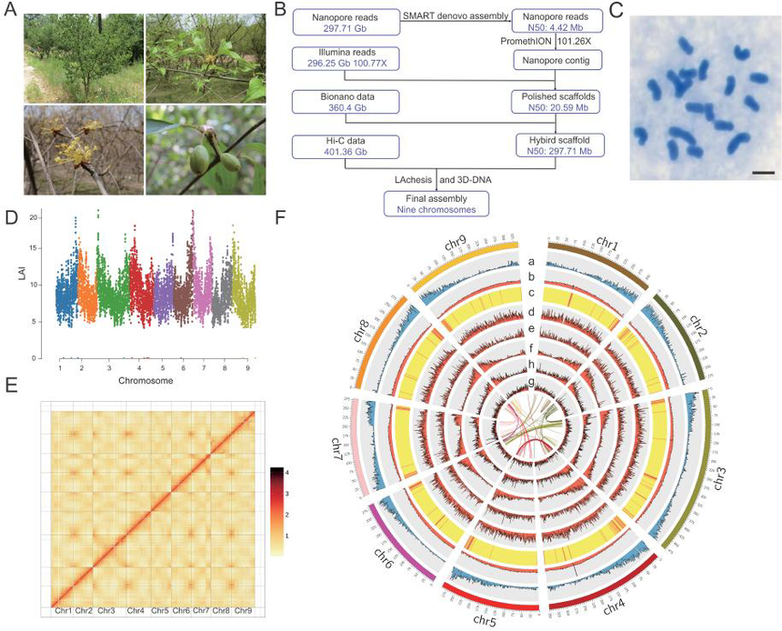 1761297061607715.png 图片9.png