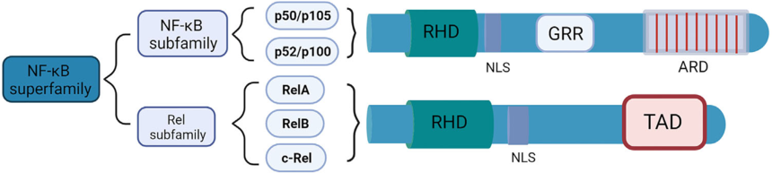 1762419658748254.png 图片1.png