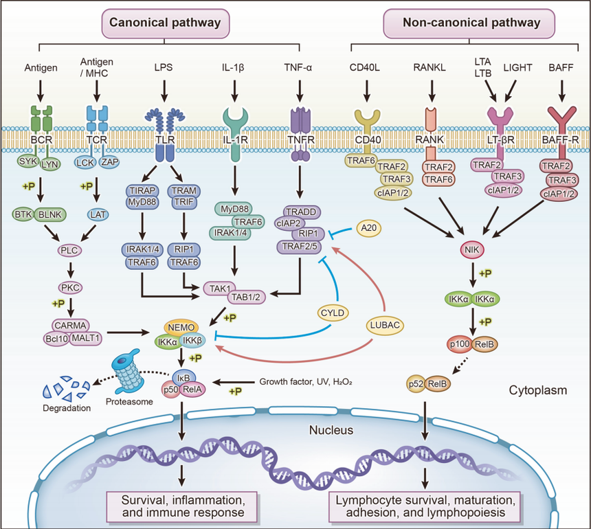 1762419669955501.png 图片2.png
