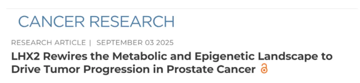 1762420073183595.png 圖片1.png