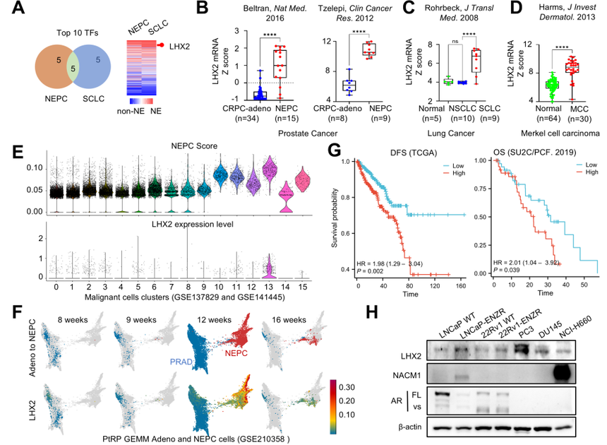 1762420113740662.png 圖片3.png