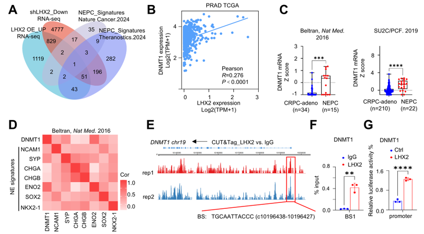 1762420123415549.png 圖片4.png