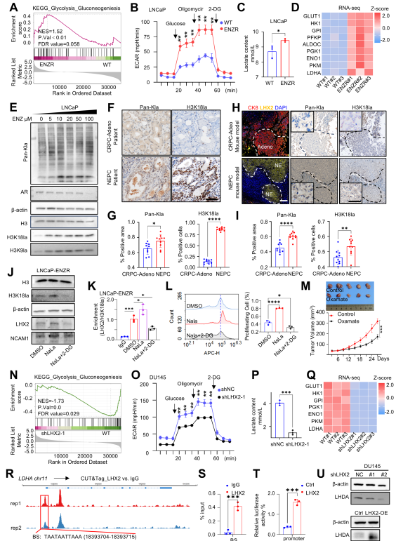 1762420139316458.png 圖片5.png