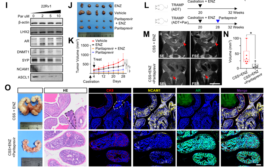 1762420150527812.png 圖片6.png