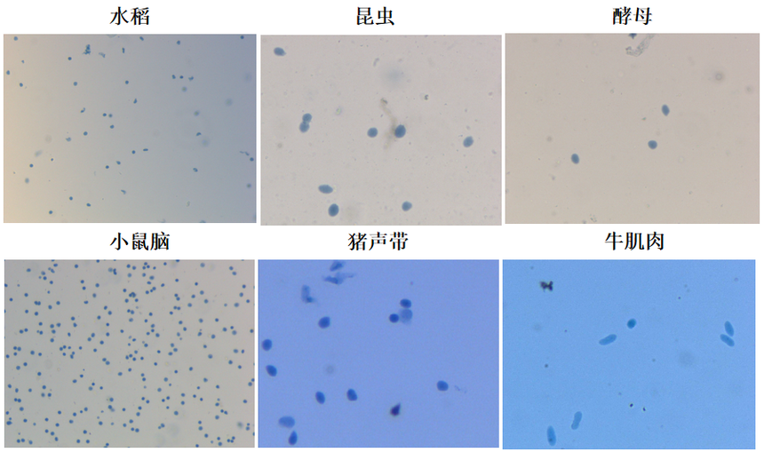 1762420213656158.png 640.png