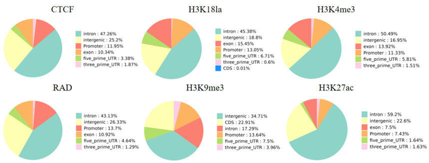 1762420241280158.png 640 (4).png