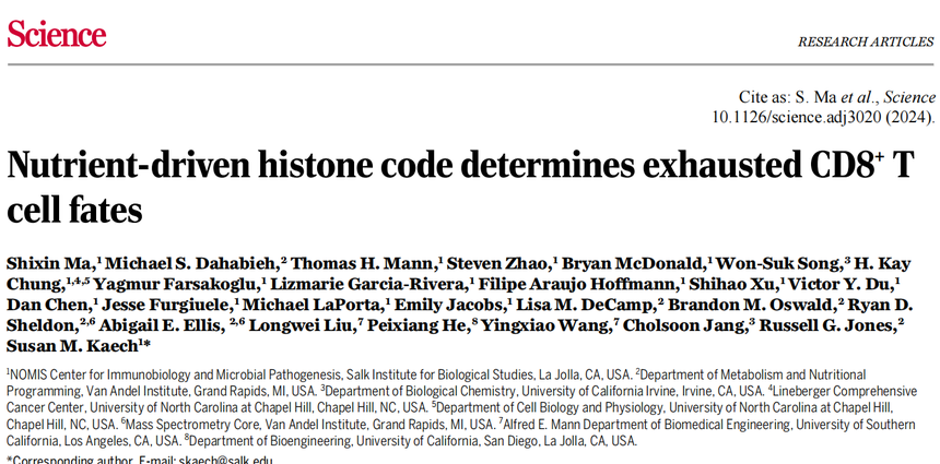 1762420523115324.png 图片1.png