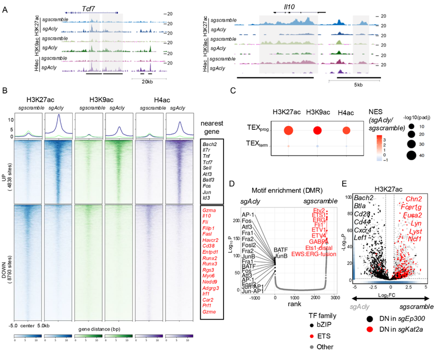 1762420534695343.png 图片2.png