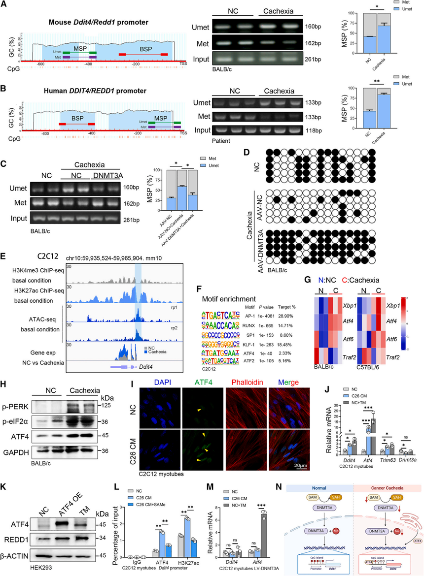 1762420557780120.png 图片4.png