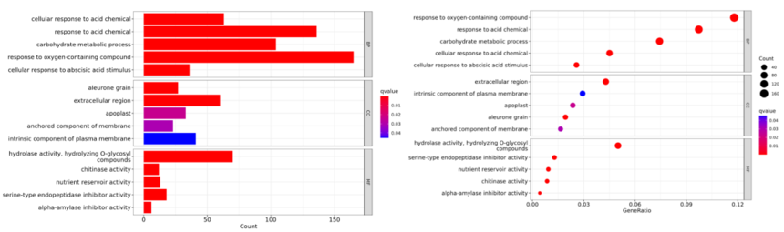 1762421310128591.png 01.png