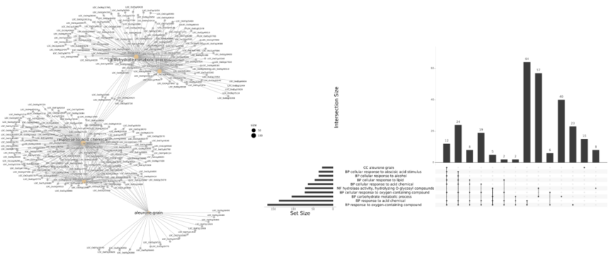 1762421323101904.png 02.png