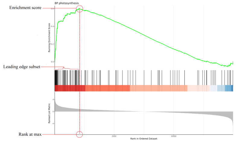 1762421369315010.png 图片5.png