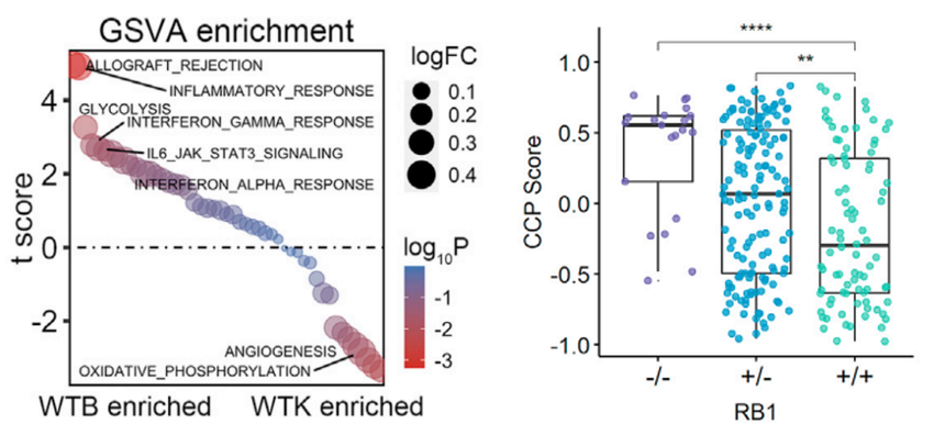 1762421392127926.png 04.png