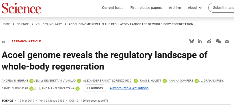 1762505395569127.png 图片1.png