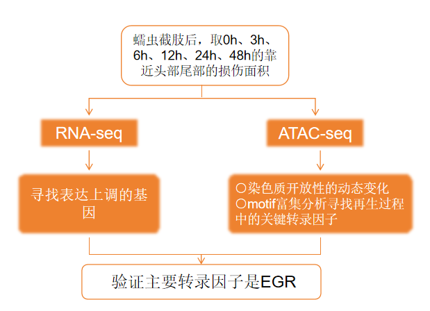 1762505409295562.png 图片2.png