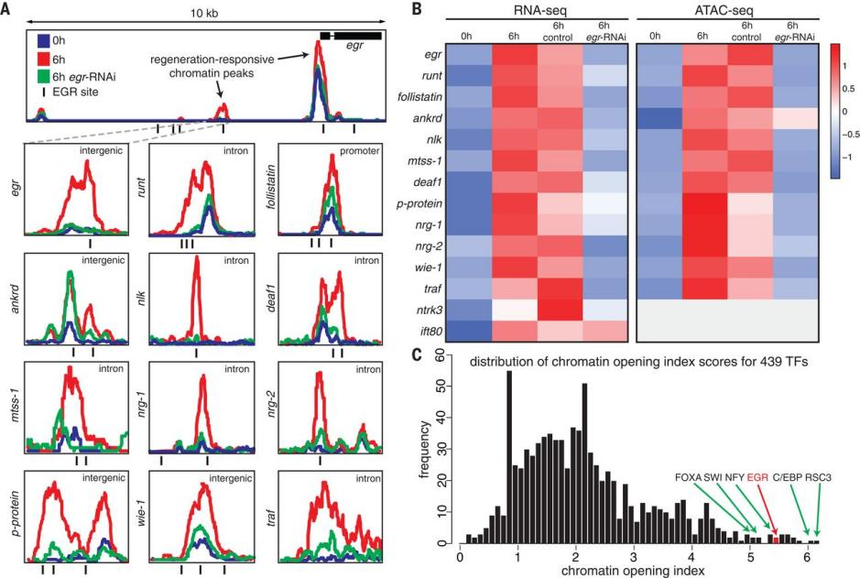 1762505424424354.png 图片3.png