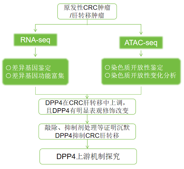 1762505492697228.png 图片8.png