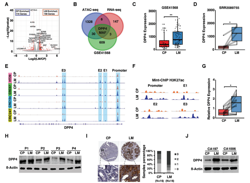 1762505513884018.png 图片9.png
