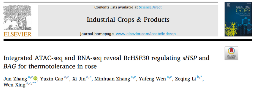 1762505523559970.png 图片10.png