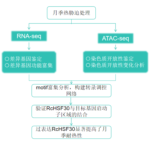 1762505536941161.png 图片11.png