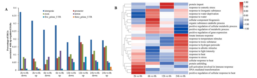 1762505553213896.png 图片12.png