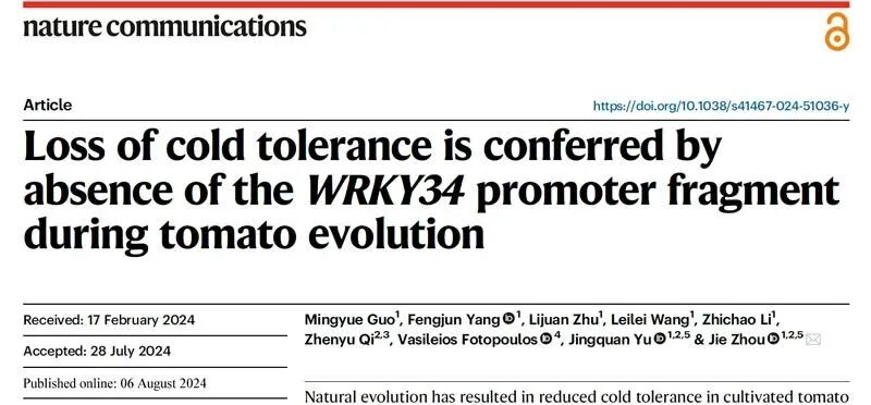 1762505575413576.png 图片13.png