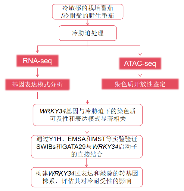 1762505588106045.png 图片14.png