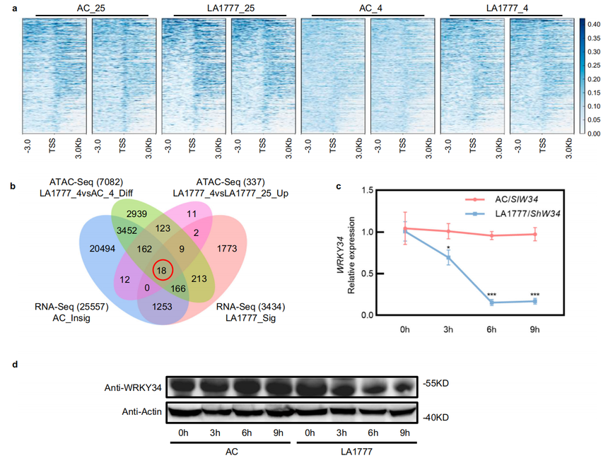 1762505601639665.png 图片15.png