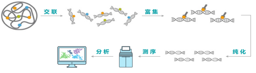 1762506241334759.png 图片2.png