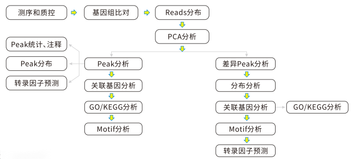 1762506254565597.png 图片3.png