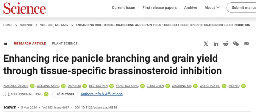 1762506306443418.png 图片5.png