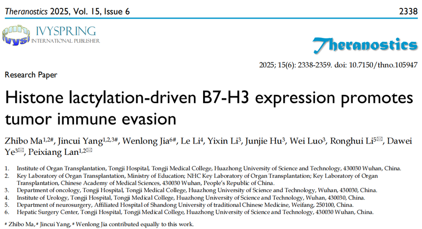 1762506353439258.png 图片7.png