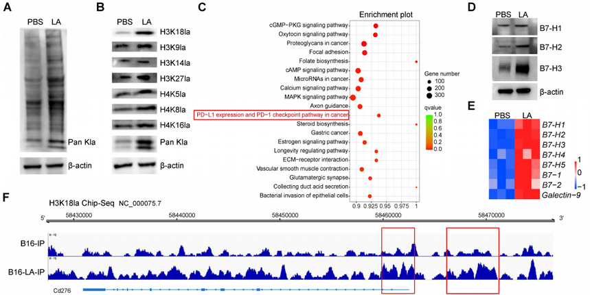 1762506377952956.png 图片8.png