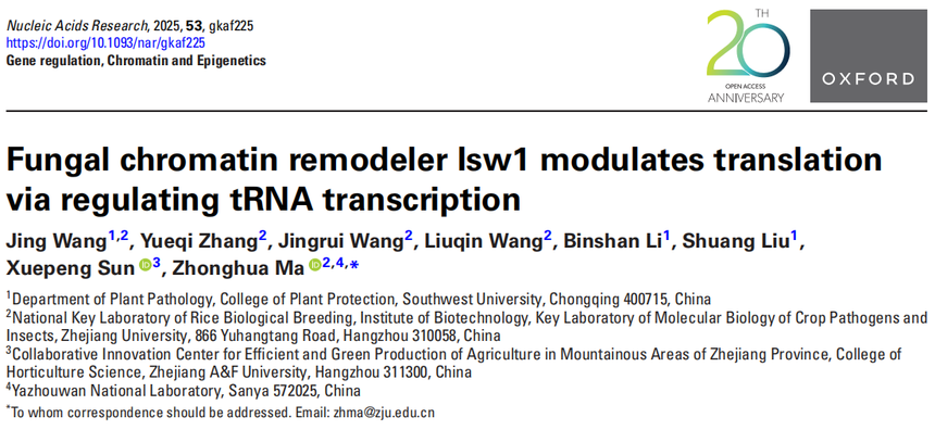 1762506419785166.png 图片9.png